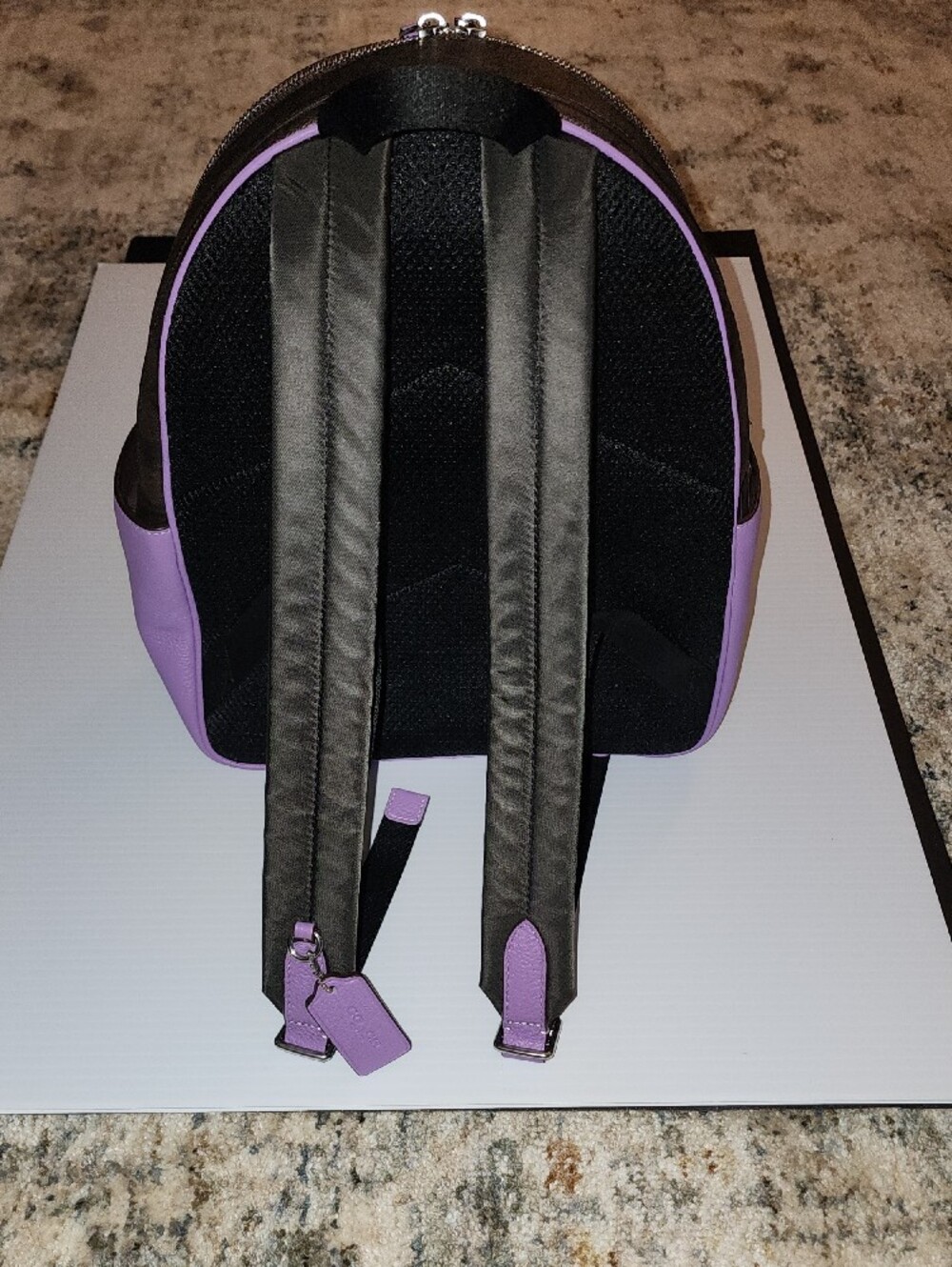 Coach Court Signature Canvas Mini Backpack in Lavender and Brown. E2321-6671. - Picture 4 of 16